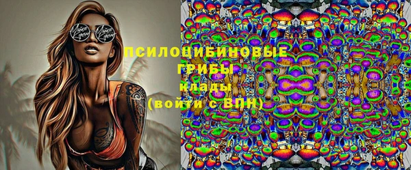 apvp Белокуриха