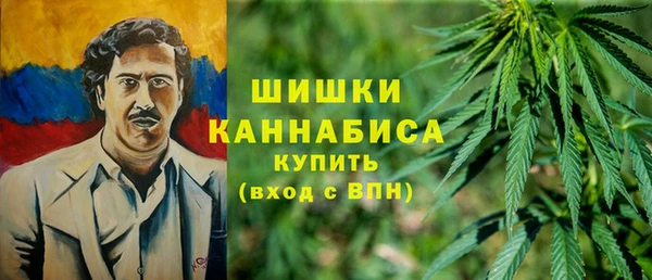 apvp Белокуриха